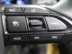 ��ꥹ������ �ϥ��֥�åɣڡ������ﳲ�ڸ������ƥࡡ�ʥӡ��ԣ֡��Хå�����顡�ţԣ� 0101416A20260117T001 4