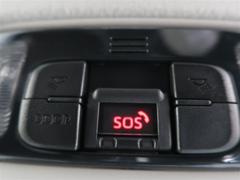 ��ꥹ������ �ϥ��֥�åɣڡ������ﳲ�ڸ������ƥࡡ�ʥӡ��ԣ֡��Хå�����顡�ţԣ� 0101416A20260117T001 5