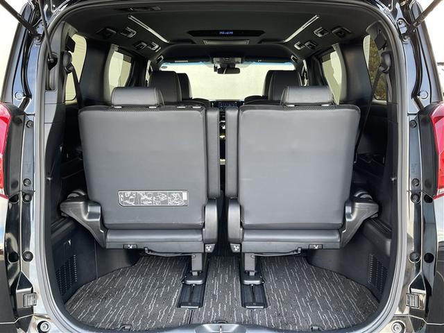 アルファード ２．５Ｓ　タイプゴールドＩＩ　フルセグ　メモリーナビ　ＤＶＤ再生　ミュージックプレイヤー接続可　後席モニター　バックカメラ　衝突被害軽減システム　ＥＴＣ　両側電動スライド　ＬＥＤヘッドランプ　乗車定員７人　３列シート（30枚目）