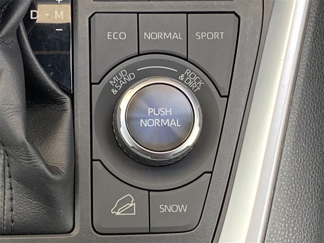 RAV4 G Zパッケージ 4WD メモリーナビ ミュージックプレイヤー接続可 バックカメラ 衝突被害軽減システム ETC LEDヘッドランプ ワンオーナー 記録簿(23枚目)