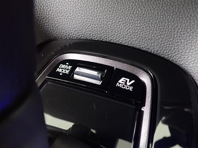 カローラツーリング ハイブリッド ダブルバイビー フルセグ バックカメラ 衝突被害軽減システム ETC LEDヘッドランプ 記録簿(17枚目)