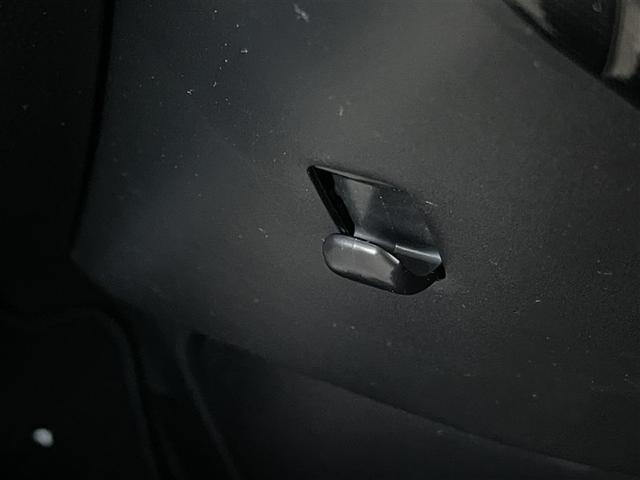 ルーミー G フルセグ バックカメラ 衝突被害軽減システム 両側電動スライド LEDヘッドランプ 記録簿(31枚目)