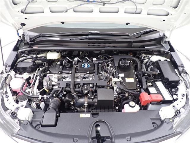 �G���W�����[�����s�J�s�J�H