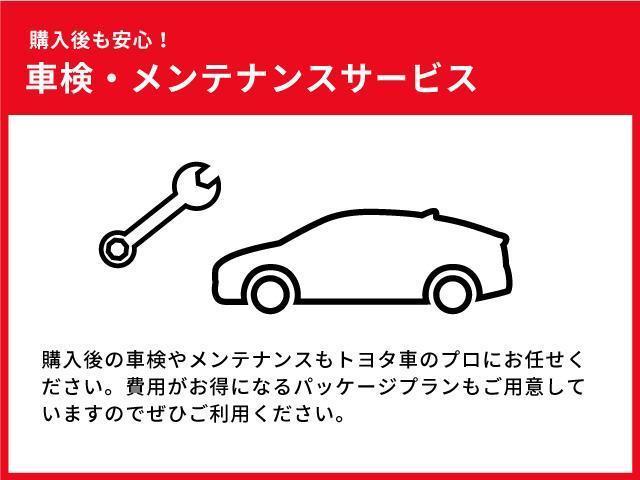 ＲＡＶ４ アドベンチャー　４ＷＤ　フルセグ　メモリーナビ　ＤＶＤ再生　バックカメラ　衝突被害軽減システム　ＥＴＣ　ＬＥＤヘッドランプ　ワンオーナー　記録簿　アイドリングストップ（37枚目）