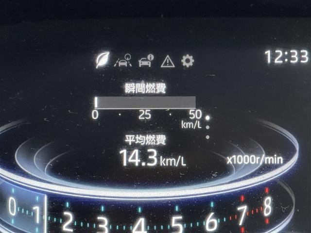 ライズ G 4WD フルセグ メモリーナビ ミュージックプレイヤー接続可 バックカメラ 衝突被害軽減システム ETC LEDヘッドランプ 記録簿 アイドリングストップ(32枚目)