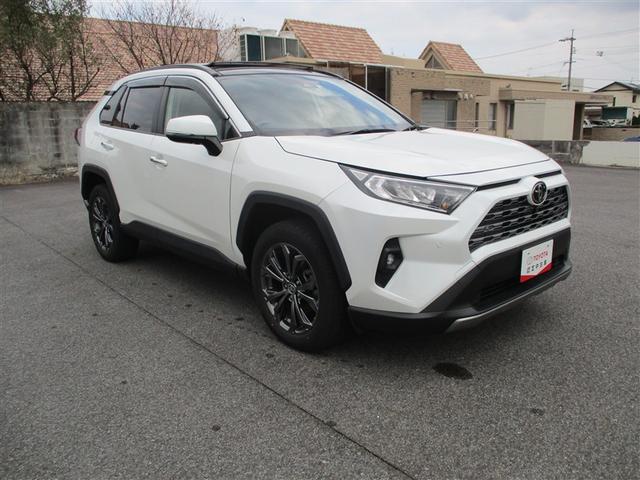 RAV4 G サンルーフ 4WD フルセグ メモリーナビ ミュージックプレイヤー接続可 バックカメラ 衝突被害軽減システム ETC LEDヘッドランプ ワンオーナー 記録簿(3枚目)