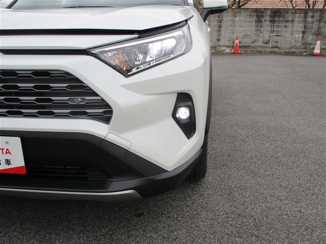 RAV4 G サンルーフ 4WD フルセグ メモリーナビ ミュージックプレイヤー接続可 バックカメラ 衝突被害軽減システム ETC LEDヘッドランプ ワンオーナー 記録簿(33枚目)