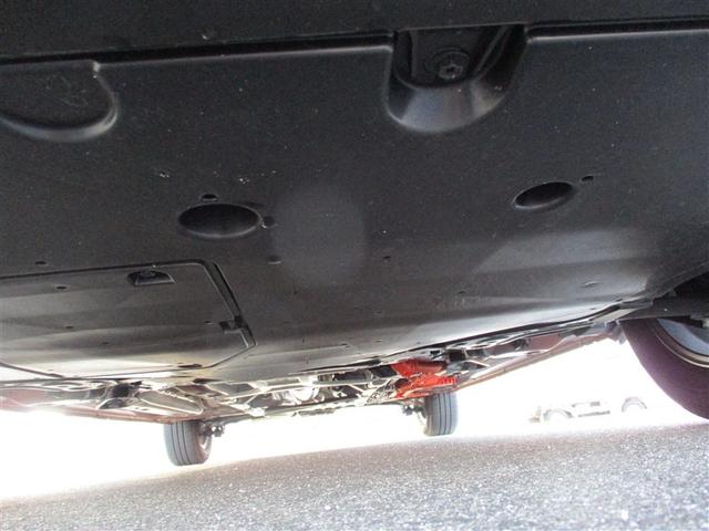 �K�╅�H���Ȃ����ꂢ�ȏ�Ԃł��B�܂��܂����S���Ă���肢�������܂��B