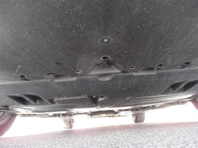 �K�╅�H���Ȃ����ꂢ�ȏ�Ԃł��B�܂��܂����S���Ă���肢�������܂��B