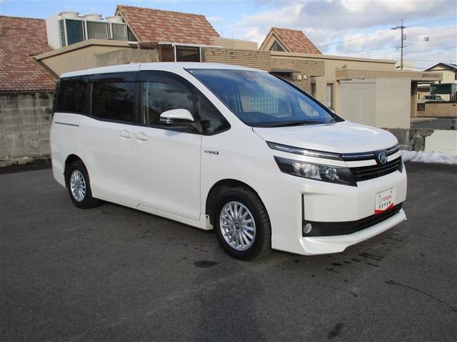 �ו��������Ղ�ڂ��čL�X�h���C�r���O��Ăł��~�ł��A�A�E�g�h�A��V���b�s���O���v���؂�y���݂܂��傤�I