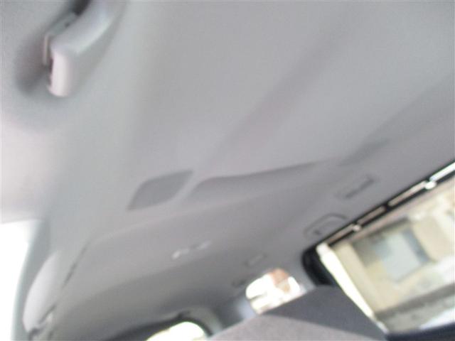 �V������ꂢ�ł��B