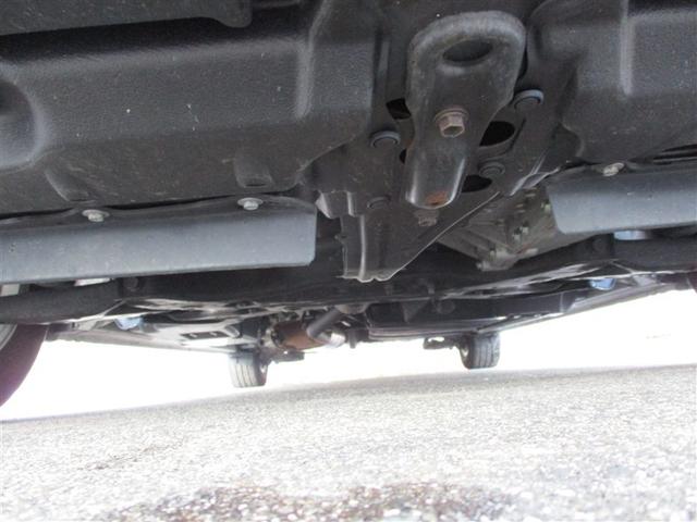 �K�╅�H���Ȃ����ꂢ�ȏ�Ԃł��B�܂��܂����S���Ă���肢�������܂��B