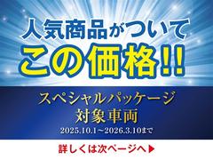 ������ �ǥ֥�å����եȥ쥶�����쥯����󡡥������ƥ������ԣ֥ʥӡ��ţãϥ⡼�ɡ��̣ţĥإåɥ饤�� 0102242A20260131T002 2