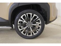 ��ꥹ������ �ϥ��֥�åɣڡ����ɥ٥���㡼���ե륻�������꡼�ʥӡ��ߥ塼���å��ץ쥤�䡼��³�� 0102254A20260123T001 7