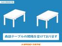 Ｘ　ＳＡＩＩＩ　ワンセグ　メモリーナビ　ミュージックプレイヤー接続可　バックカメラ　衝突被害軽減システム　ＥＴＣ　ドラレコ　ＬＥＤヘッドランプ　ワンオーナー　記録簿　アイドリングストップ（45枚目）