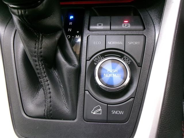 RAV4 アドベンチャー オフロードパッケージ 4WD フルセグ メモリーナビ DVD再生 ミュージックプレイヤー接続可 バックカメラ 衝突被害軽減システム ETC ドラレコ LEDヘッドランプ 記録簿(23枚目)