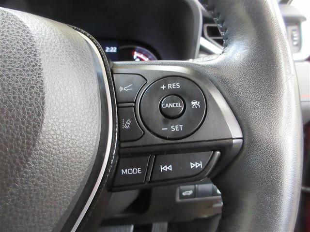 ＲＡＶ４ アドベンチャー　４ＷＤ　フルセグ　メモリーナビ　ＤＶＤ再生　ミュージックプレイヤー接続可　バックカメラ　衝突被害軽減システム　ＥＴＣ　ドラレコ　ＬＥＤヘッドランプ　記録簿（39枚目）