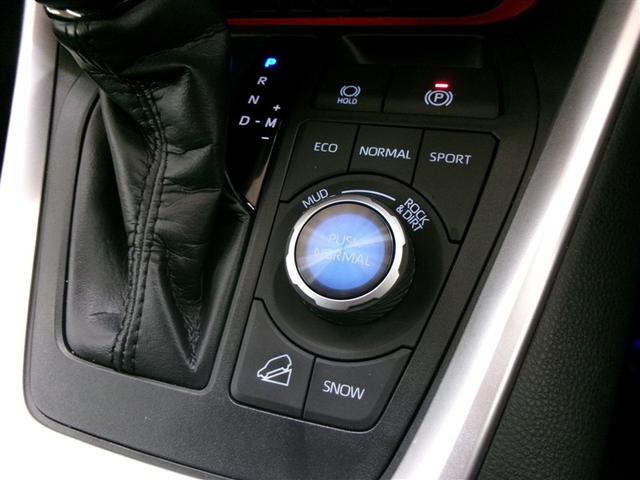 ＲＡＶ４ アドベンチャー　オフロードパッケージＩＩ　４ＷＤ　フルセグ　メモリーナビ　ミュージックプレイヤー接続可　バックカメラ　衝突被害軽減システム　ＥＴＣ　ドラレコ　ＬＥＤヘッドランプ　記録簿（25枚目）