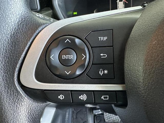 ライズ Ｇ　フルセグ　メモリーナビ　ＤＶＤ再生　バックカメラ　衝突被害軽減システム　ＥＴＣ　ＬＥＤヘッドランプ　ワンオーナー（12枚目）