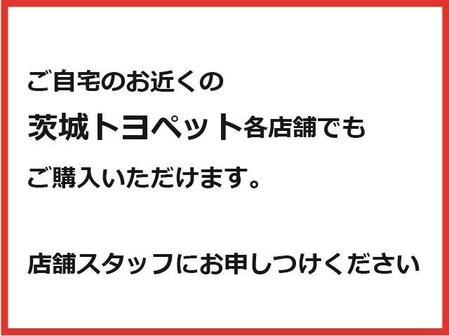 ライズ Z 誤発進抑制機能 エアコン スマートキー&プッシュスタート 地デジTV ドライブレコーダ VSA 盗難防止装置 ミュージックプレイヤー接続可 アイドリングストップ機能 クルコン バックモニター キーレス(40枚目)