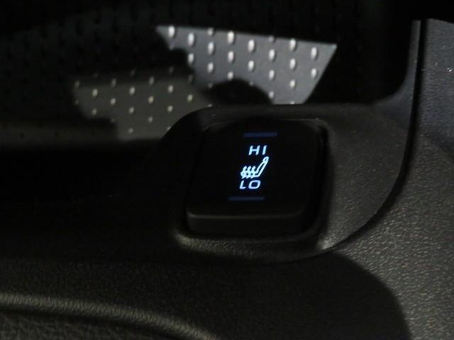 カローラスポーツ Ｇ　Ｚ　６速マニュアル　衝突被害軽減システム　メモリーナビ　フルセグ　バックカメラ　ＥＴＣ　ミュージックプレイヤー接続可　オートクルーズコントロール　ＬＥＤヘッドランプ　スマートキー　キーレス（31枚目）