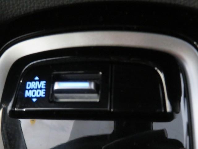 カローラスポーツ Ｇ　Ｚ　６速マニュアル　衝突被害軽減システム　メモリーナビ　フルセグ　バックカメラ　ＥＴＣ　ミュージックプレイヤー接続可　オートクルーズコントロール　ＬＥＤヘッドランプ　スマートキー　キーレス（32枚目）