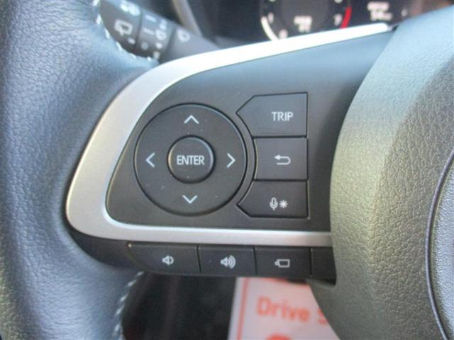 ライズ Ｚ　フルセグ　ミュージックプレイヤー接続可　バックカメラ　衝突被害軽減システム　ＥＴＣ　ドラレコ　ＬＥＤヘッドランプ　アイドリングストップ（31枚目）