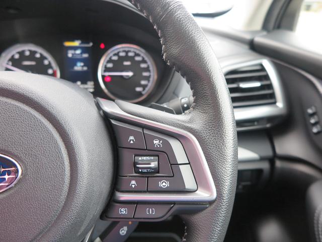 Premium EyeSight搭載車(11枚目)