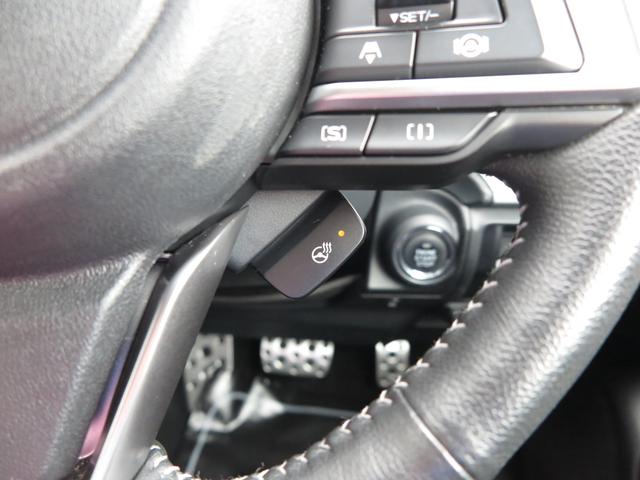 Premium EyeSight搭載車(13枚目)
