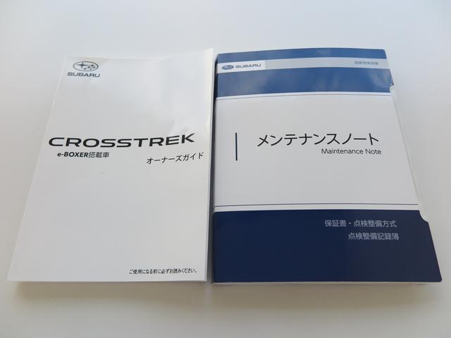 Ｔｏｕｒｉｎｇ　元レンタカー　ナビ機能付き(65枚目)