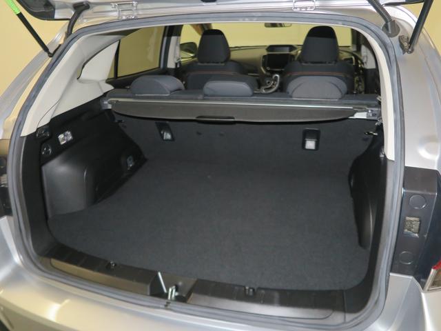 XV Advance アイサイト搭載 ナビ・リヤカメラ・ETC付(47枚目)