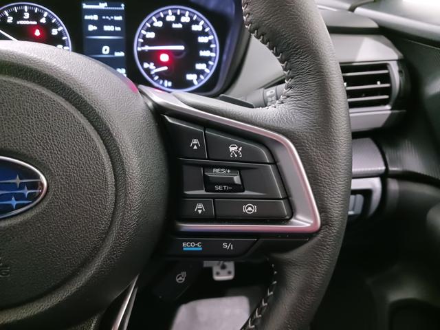 クロストレック Ｌｉｍｉｔｅｄ　元弊社社用車　ナビ機能付（13枚目）