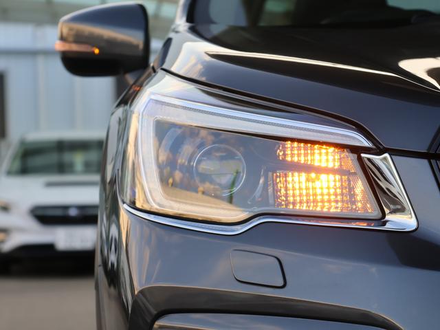 フォレスター スポーツ　ルーフレールダイヤトーン８”ナビＦＳＲカメラＥＴＣ（4枚目）