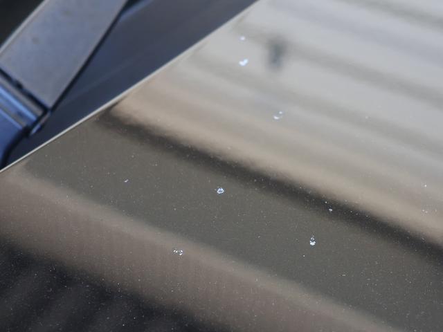 ＢＲＺ ｔＳ　３００台限定モデル（56枚目）