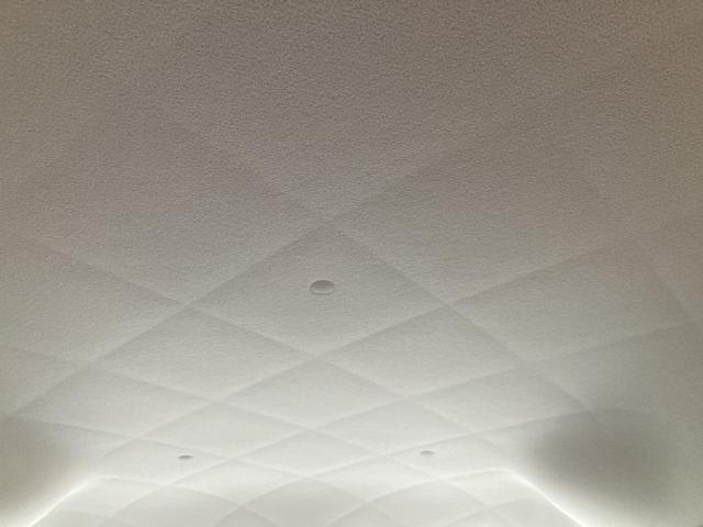 ワゴンRスマイル HYBRID X 3型 ナチュラルシックスタイル 初売り目玉タイムセール車:4日14時販売開始★フロント/サイド/リヤアンダーガーニッシュ★アルミホイール★本革ステアリングホイールカバー★シートカバー★ロゴステッカー★デコステッカー★全方位カメラナビ(12枚目)