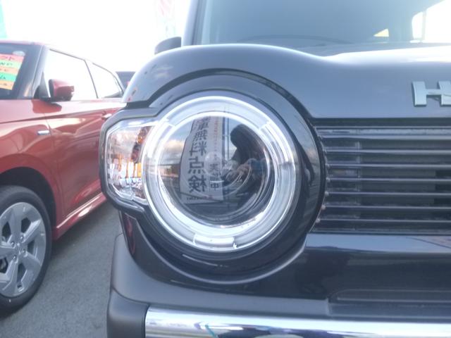 ハスラー タフワイルド　３型（5枚目）