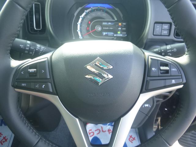 ハスラー タフワイルド　３型（12枚目）