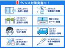 スティングレー　ＨＹＢＲＩＤ　Ｔ　４型（74枚目）