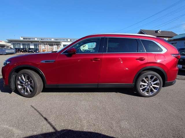 �u����₩�ۏ؁v�ɂ��A�[�ԓ����u�P�N�ԁE���s�������v�ۏ؂��L���ł��������ȗL�������ۏ؃v�����������܂���