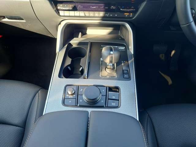 ���R�Ɏ�����낵���ʒu�Ƀi�r�E�I�[�f�B�I�̃R���g���[���X�C�b�`��z�u���Ă���܂�