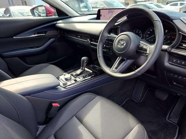 �����ړ������Ȃ��h���C�r���O�ɐ�O�ł���R�b�N�s�b�g�B�^�]���ɕK�v�ȁu���s���v�Ƃ���ȊO�́u�֗��E���K���v�𖾊m�ɕ����Ă���̂ŏ��𓾂鎞�ɖ��������Ȃ����Ă��܂��B