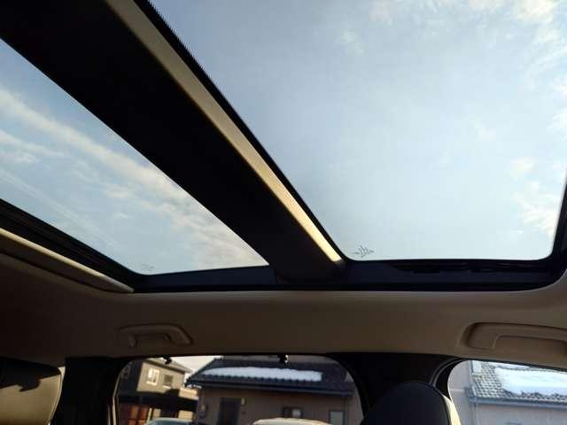 �T�����[�t����