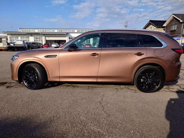 �u����₩�ۏ؁v�ɂ��A�[�ԓ����u�P�N�ԁE���s�������v�ۏ؂��L���ł��������ȗL�������ۏ؃v�����������܂���