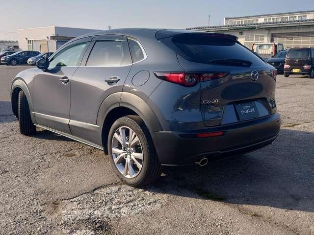 ＣＸ－３０ ２．０　２０Ｓ　プロアクティブ　ツーリングセレクション　パノラミックビューモニター　Ｂｌｕｅｔｏｏｔｈオーディオ　盗難防止システム　ワンオ－ナ－　ＥＳＣ　アダプティブクルーズ　サイドカメラ　ナビＴＶ　Ｂカメラ　地デジ　前席シートヒーター　ＬＥＤライト（4枚目）