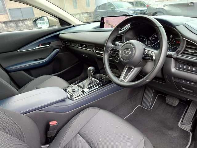 �����ړ������Ȃ��h���C�r���O�ɐ�O�ł���R�b�N�s�b�g�B�^�]���ɕK�v�ȁu���s���v�Ƃ���ȊO�́u�֗��E���K���v�𖾊m�ɕ����Ă���̂ŏ��𓾂鎞�ɖ��������Ȃ����Ă��܂��B