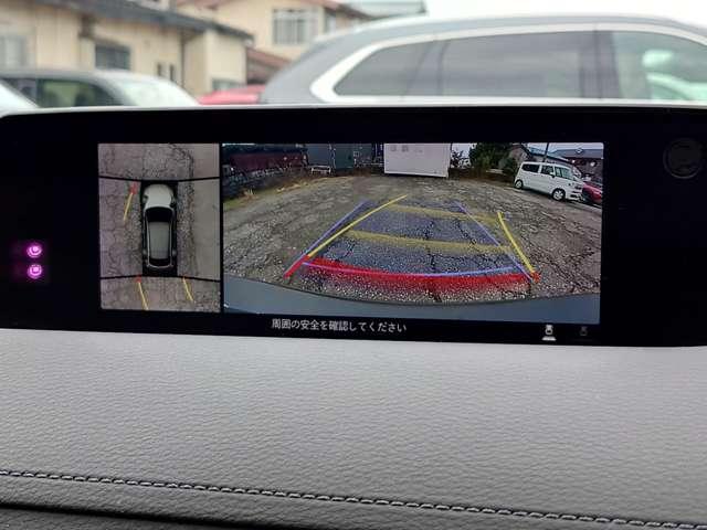 �O�㍶�E�̃J�����Ŏ����̃N���}�̈ʒu�֌W���Q���Ȃǉf���o���Ă���܂��B