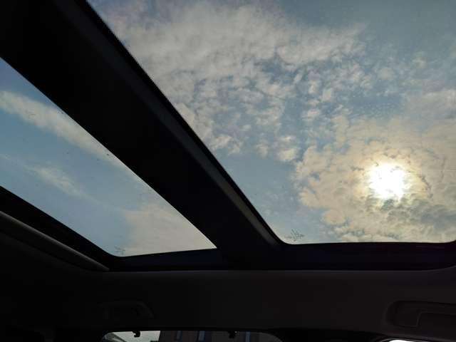 �T�����[�t����