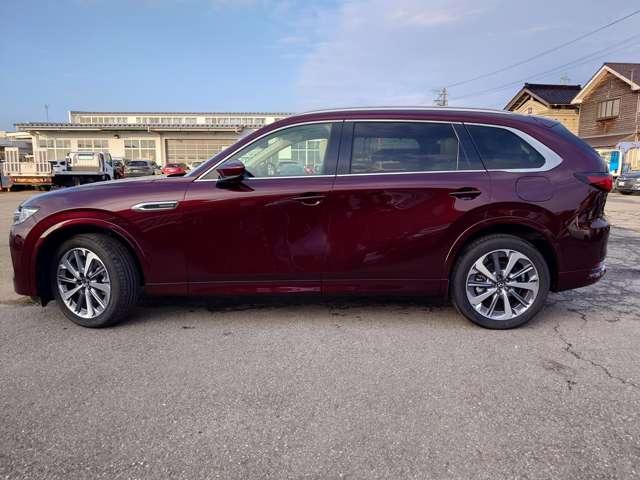 �u����₩�ۏ؁v�ɂ��A�[�ԓ����u�P�N�ԁE���s�������v�ۏ؂��L���ł��������ȗL�������ۏ؃v�����������܂���