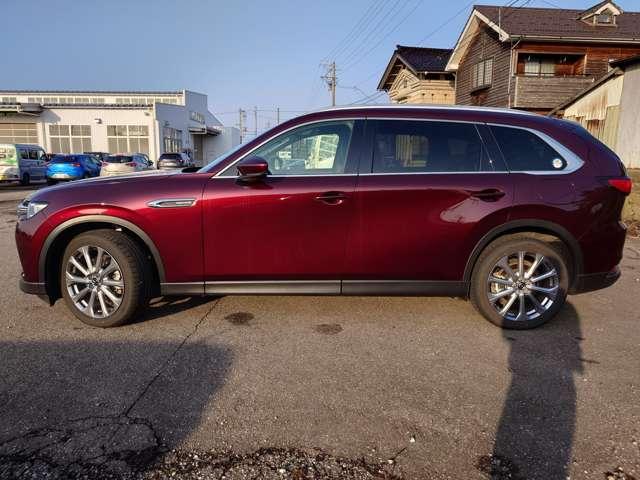 �u����₩�ۏ؁v�ɂ��A�[�ԓ����u�P�N�ԁE���s�������v�ۏ؂��L���ł��������ȗL�������ۏ؃v�����������܂���