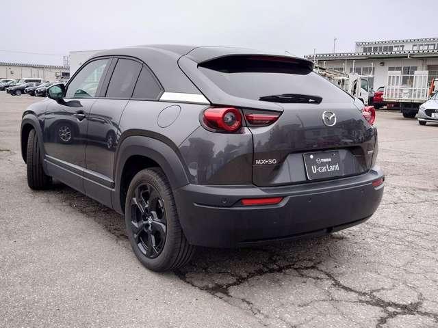 �@�萮����p�͖{�̉��i�Ɋ܂܂�Ă���܂��B�������ꂽ�T�[�r�X�X�^�b�t���@�萮�������{���A�K�v�ɉ����Č����E�C����Ƃ��{���������ŁA���S���Ă���肢���������Ԃɂ��Ă����n���v���܂��B